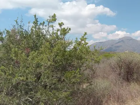 VENTA TERRENO C/ ESRITURA 2.500M CAP DEL MONTE CBA