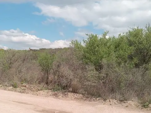 Camino A Aguas Azules 100