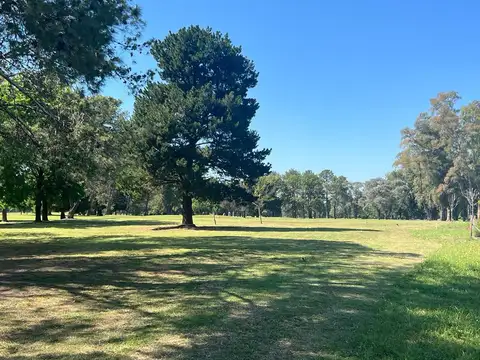 Terreno en Venta de 808,0 m2