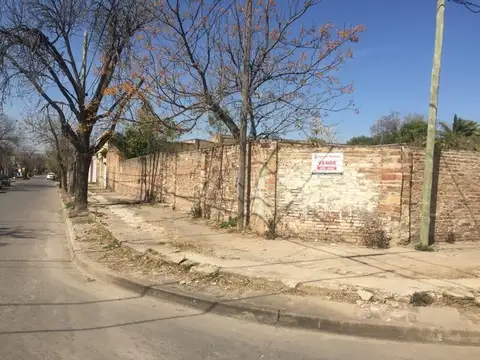 Libertad 891