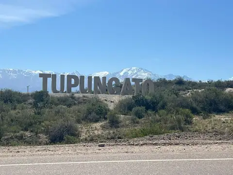 Venta de lote  en tupungato cerca del centro
