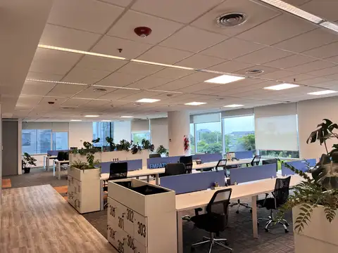 Avenida Del Libertador 100