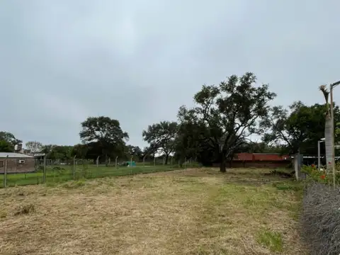 Terreno en Venta 20  mts Frente