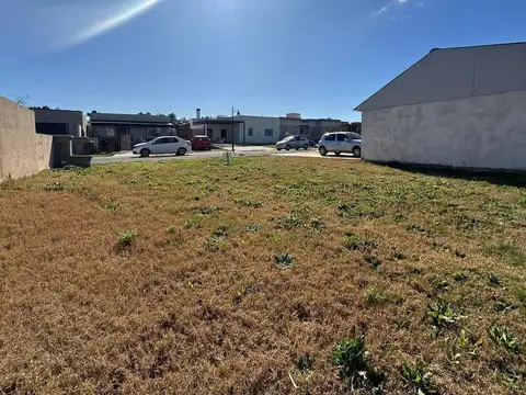 Terreno en Venta 12  mts Frente