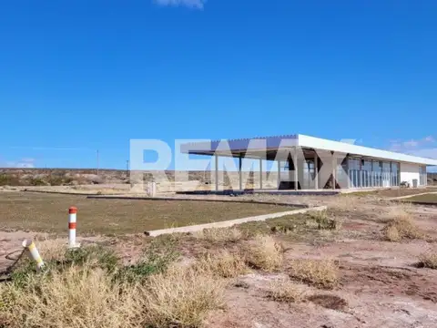 Bahía de Playas 100