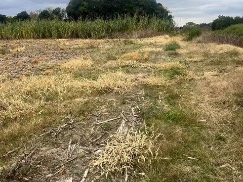 CAMPO 5 HAS EN VENTA EN PEREZ