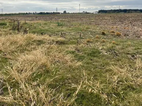 CAMPO 5 HAS EN VENTA EN PEREZ