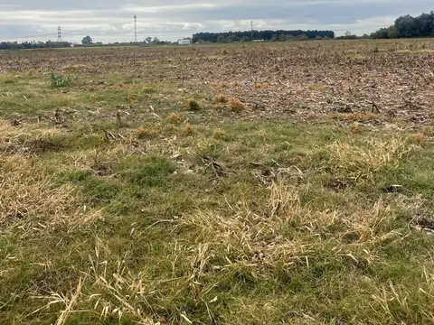Campo en Venta en Pérez, Rosario