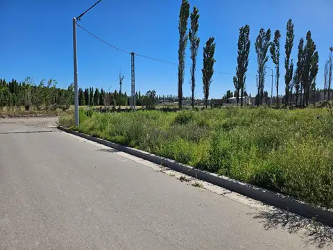 Terreno en Venta en Plottier, USD 25.000