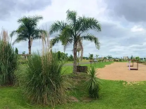 Terreno en Venta 50  mts Fondo