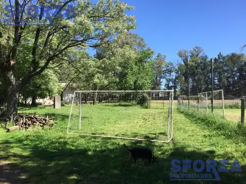 Terreno en Alquiler 50  mts Fondo