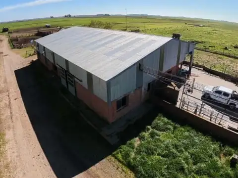 CAMPO DE 488 HECTÁREAS EN VENTA – SALADILLO