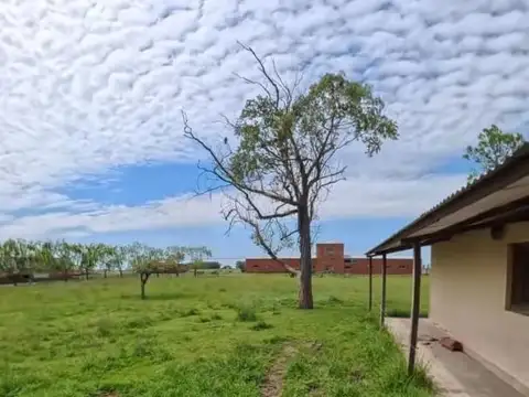 CAMPO DE 488 HECTÁREAS EN VENTA – SALADILLO