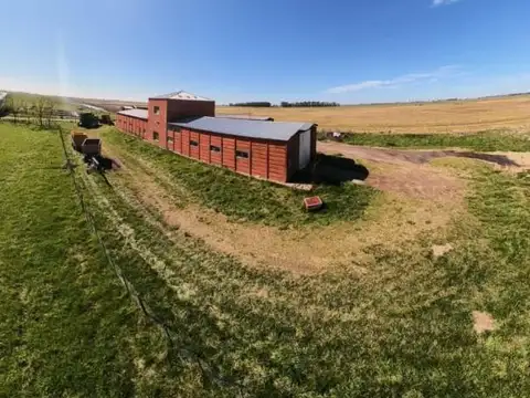 Campo en Venta de 488  ha