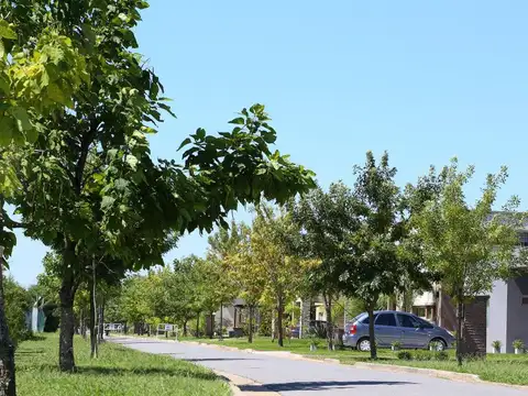 Terreno en Venta en Barrancas de Iraola, USD 110.000