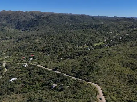 Camino De Los Pioneros 100