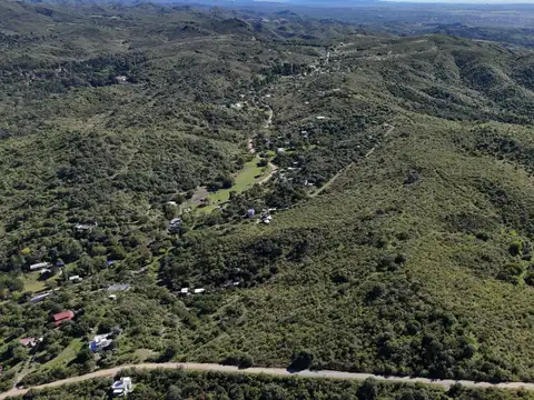 Camino De Los Pioneros 100