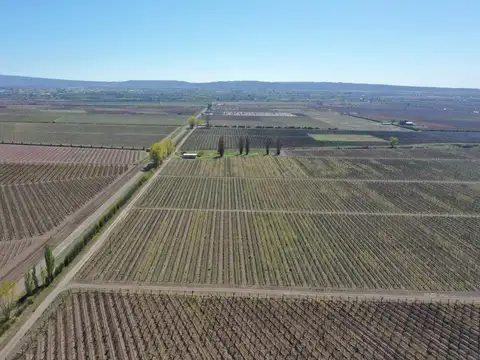 ruta provincial 99 100