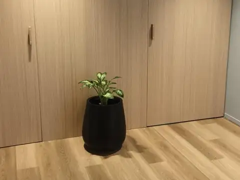 Oficina en Alquiler en Palermo Hollywood, USD 4.200