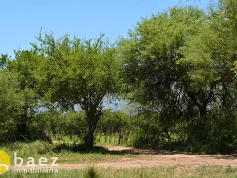 LOTE DE 1260M2 EN LOS MOLLES