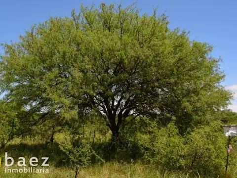 Terreno en Venta de 1260,0 m2