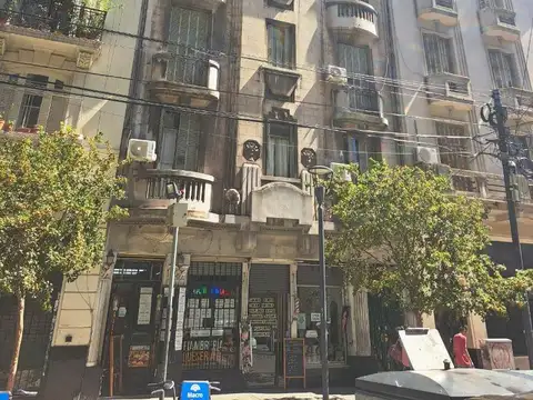Larrea 100
