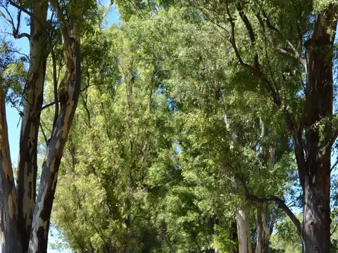 Terreno en Venta de 700,0 m2