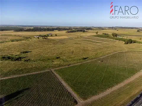 PROPIEDADES RURALES -  José Ignacio