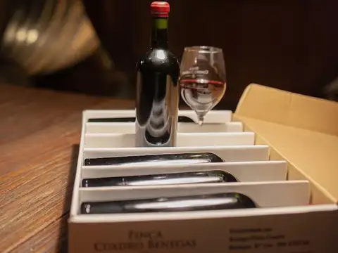 VENTA PARCELAS DE VID RAMA CAIDA SAN RAFAEL MDZ