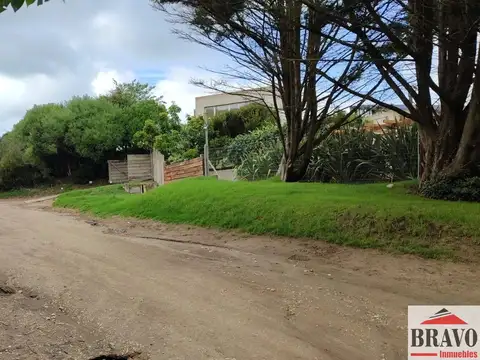 Entre Costanera y Alameda 201 y entre Calles 306 y 300