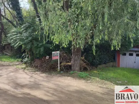 Entre Costanera y Alameda 201 y entre Calles 306 y 300