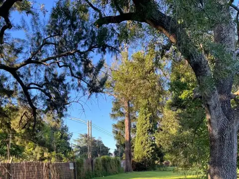 LOTE FINCAS DON VÍCTOR