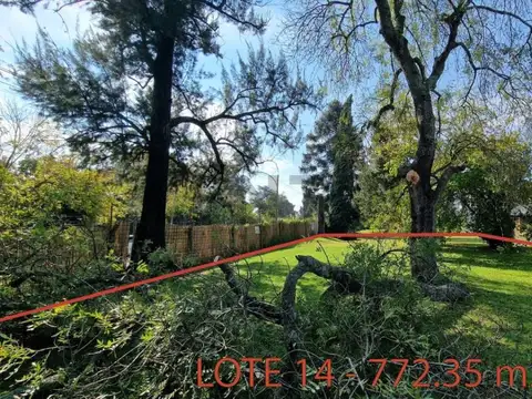 LOTE FINCAS DON VÍCTOR