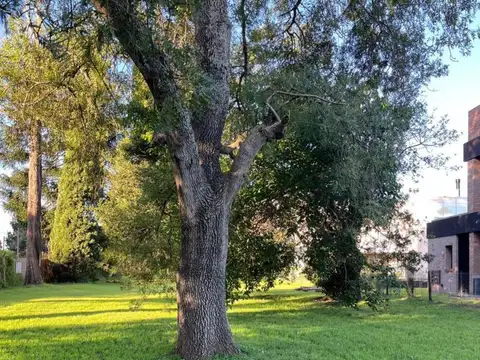 Terreno en Venta de 772,0 m2