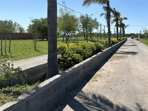 Arbolada de Longchamps. B° Parque. Espora esq Zeballos