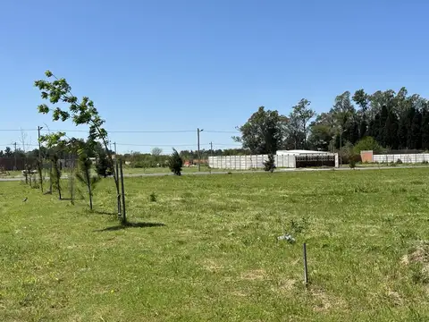 Terreno en Venta de 384,0 m2