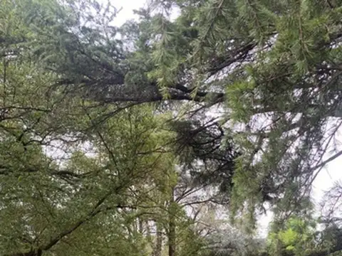 Terreno en Venta de 395,0 m2