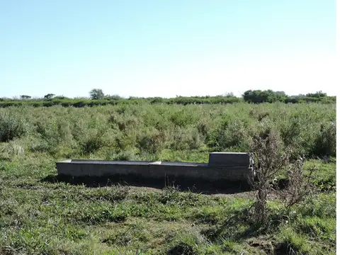 Campo en Venta de 230  ha
