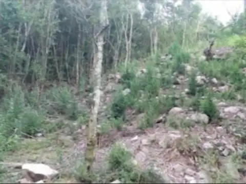 Terreno en Venta de 610,0 m2