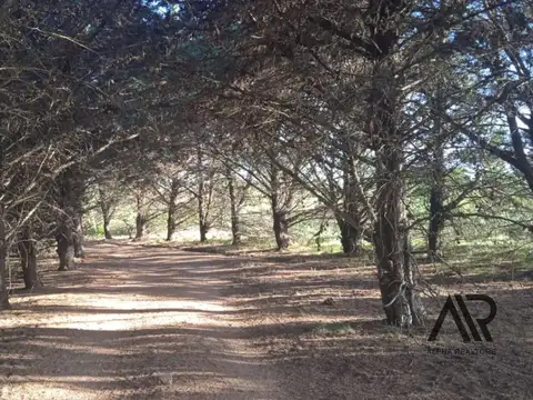 Pueblo Edén/Ruta 12