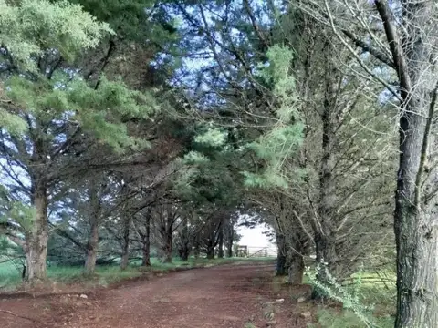 Chacra de 5 hectáreas con casa, en Ruta 12/Pueblo Edén, Maldonado.