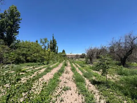 Venta Terreno ideal desarrollo J. Roca Buena Nueva