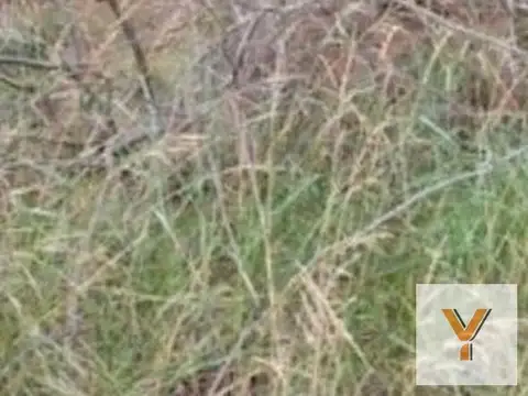 Terreno en Venta en Barrio Chapadmalal, Partido de General Pueyrredón