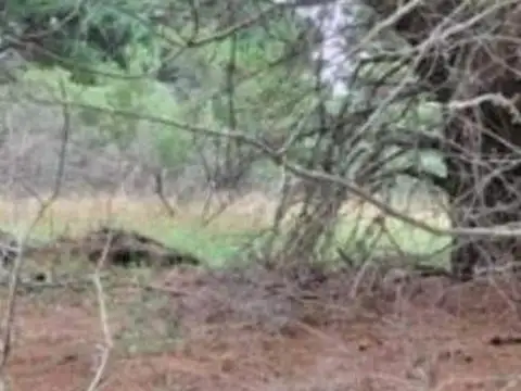 Terreno en venta - 394Mts2 - Chapadmalal, General Pueyrredón