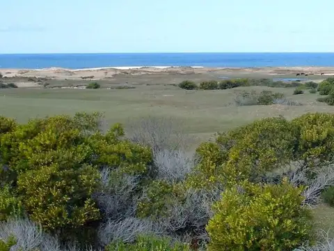 RUTA 10 100