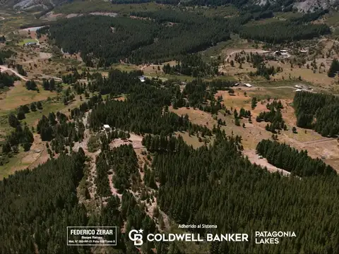 Arroyo del medio, San Carlos de Bariloche