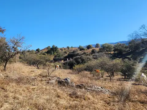 SE VENDE HERMOSA FRACCIÓN DE 1,4 HA EN SAN CLEMENTE CON INCREIBLES VISTAS A LAS SIERRAS- 802