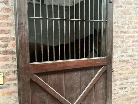 163 Has San Andres de Giles 100