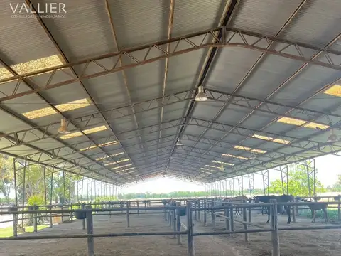 163 Has San Andres de Giles 100