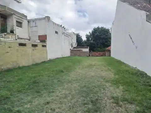 Rafael Amato 1200